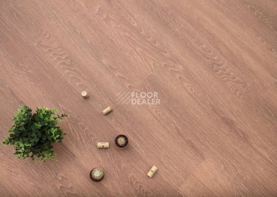 Кварцвиниловые полы Ecoclick Wood  замковый 4.2мм NOX-1614 Дуб Арагон фото 1 | FLOORDEALER